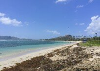 Bois Shadon Beach, where TJ Elibox was spending the day at a church barbecue for Independence Dayand where Sahab Jamshidi was celebrating his 34th birthday by kite surfing with friends.