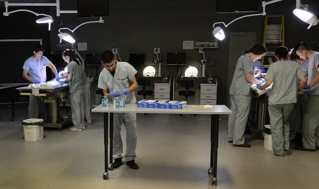 Students from a variety of medical programs work together on cadavers in the anatomy lab at McMaster University. The students compare and exchange knowledge they bring to the lab from their own areas of special study.